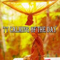 77 Calming of the Day