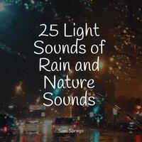 25 Light Sounds of Rain and Nature Sounds