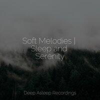 Soft Melodies | Sleep and Serenity