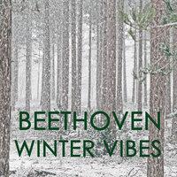 Beethoven  - Winter Vibes