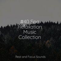 #40 Spa Relaxation Music Collection