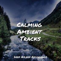 Calming Ambient Tracks