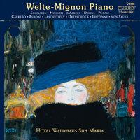 Piano Music - Weber, C.M. Von / Liszt, F. / Mozart, W.A. / Chopin, F. (Welte-Mignon Piano at Hotel Waldhaus Sils Maria, Vol. 1)