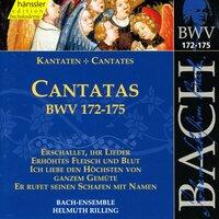 Bach, J.S.: Cantatas, Bwv 172-175