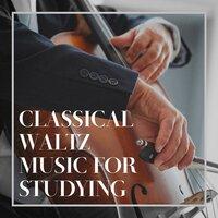 Classical Waltz Music for Studying