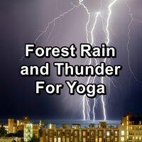 Forest Rain and Thunder For Yoga