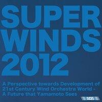 A Perspective Towards Development of 21st Century Wind Orchestra World
