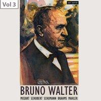 Bruno Walter, Vol. 3