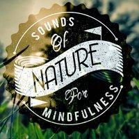 Sounds of Nature for Mindfulness