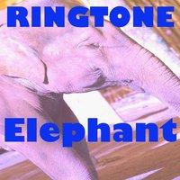 Elephant Ringtone