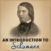 An Introduction to Schumann