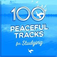 100 Peaceful Tracks for Studying