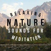 Relaxing Nature Sounds for Meditation