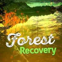Forest Recovery