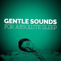 Gentle Sounds for Absolute Sleep