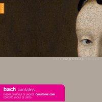 Bach: Cantatas with Violoncello Piccolo, Bwv 85, 175, 183, 199