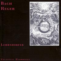 Bach / Reger: Organ Music