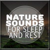 Nature Sounds for Sleep and Rest