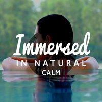 Immersed in Natural Calm