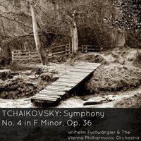 Symphony No. 4 in F Minor, Op. 36: IV. Allegro con fuoco