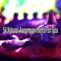 54 Natural Accompaniments For Spa