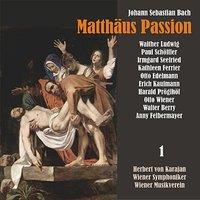 Bach: Matthäus Passion, BWV 244, Vol. 1