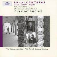 Bach, J.S.: Easter Cantatas BWV 6 & 66