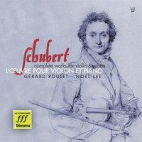 Schubert : Intégrale de l'oeuvre pour violon et piano