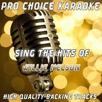 Sing the Hits of Willie Nelson