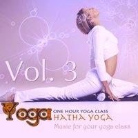 Yoga: Hatha Yoga, Vol.3