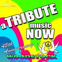A Tribute Music Now: 45TH Anniversary Tribute to Woodstock
