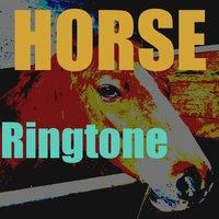 Horse Ringtone