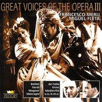 Great Voices Of The Opera Vol. 5