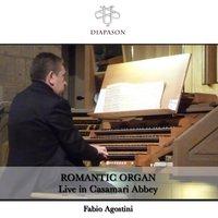 Romantic Organ