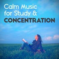 Calm Music for Study & Concentration