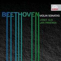 Sonata for Violin and Piano No. 5 in F-Sharp Major, Op. 24, .: III. Scherzo. Allegro molto