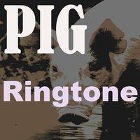 Pig Ringtone