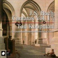 J.S. Bach: Cantatas Vol. 17