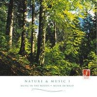 Nature & Music I