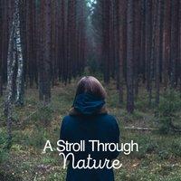 A Stroll Through Nature