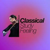 Classical Study Feeling