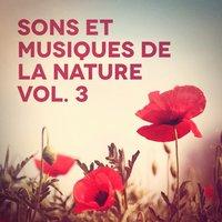 Sons et musiques de la nature, Vol. 3