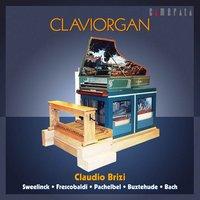 Claudio Brizi: Works for Claviorgan