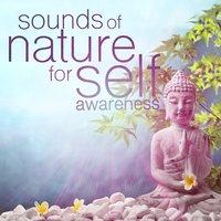 Sounds of Nature for Self Awareness