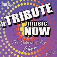 A Tribute Music Now: The Goddess of Pop - Cher, Vol. 2