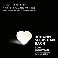 Bach: Solo Cantatas for Alto and Tenor