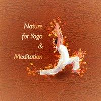 Nature for Yoga & Meditation