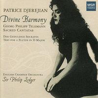 Divine Harmony - Telemann: Sacred Cantatas