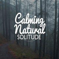Calming Natural Solitude