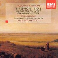 Vaughan Williams: Symphony No. 6/In the Fen Country/On Wenlock Edge